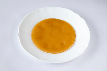 Tea mushroom kombucha lies in a white plate on the table. Kombucha is a drink made from sweet tea...