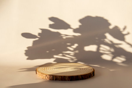Wooden slice of wood on a beige background with a shadow of flowers. Layout for a cosmetic product.の写真素材