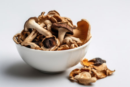 Dried mushrooms in a bowl on a white background. selective focus.の素材