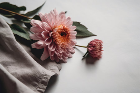 Pink Flowers And White Paper With Copy Space Over Gray Backgroundの素材