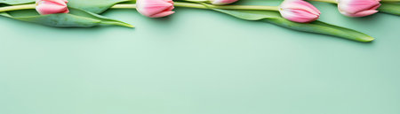 Tulips On Light Green Background Top View With Empty Spaceの素材
