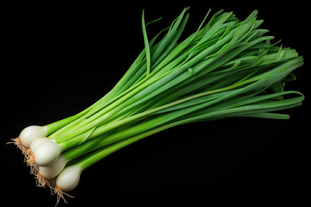 Green Onion Closeup On Black Backgroundの素材