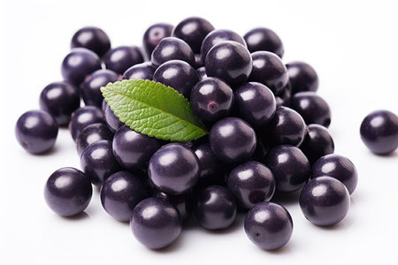 Purple Acai Berries Closeup On White Backgroundの素材
