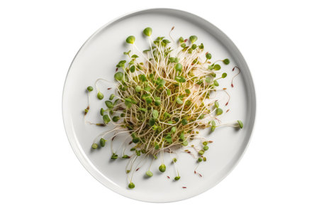 Raw Sprouts On White Plate, On White Background.の素材