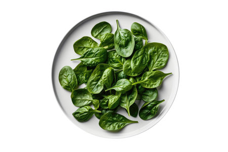 Raw Spinach On White Plate, On White Background.の素材