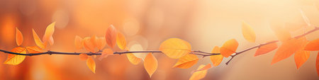 Autumn Tree Branches On A Defocused Orange Background Art. Panoramic Bannerの素材