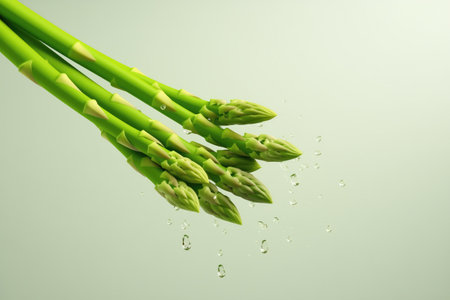 Fresh Green Asparagus With Dew Drops.の素材