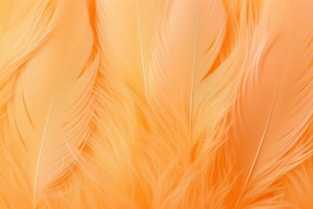 Beautiful Fluffy Pale Orange Color Feather Abstract Feather Background.の素材