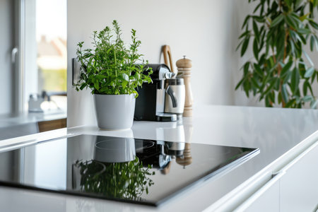 Sleek Design And Functionality: Ceramic Hob On An Electric Stove With Clean Lines And A White Surfaceの素材