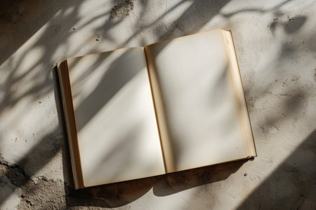 Mockup Design Featuring Blank Book Cover With Shadowsの素材