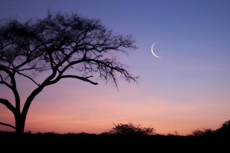 Twilight Sky with Crescent Moon After Sunset. Concept Twilight Sky, Crescent Moon, Sunset, Night Photography, Celestial Beautyの素材