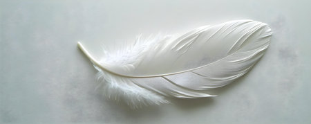 A single white feather gently rests on a pristine white background. Concept Minimalism, Feather, White, Softness, Stillnessの素材