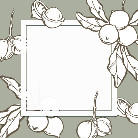 Macadamia background design nuts on leaf branch white square frame with copypaste spaceのイラスト素材