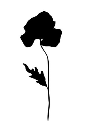 Elegant Poppy flower with leaf black silhouette on white background vector illustration. Hand drawn botanical design element.のイラスト素材