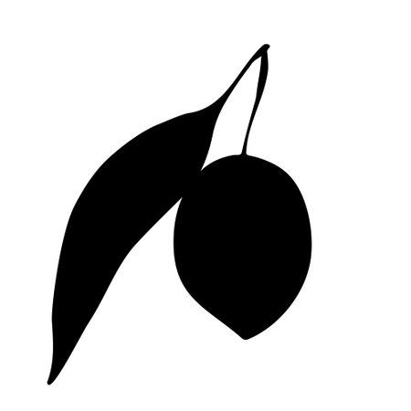 Olive with leaf silhouette isolated on white background element for food logo Vector illustration.のイラスト素材