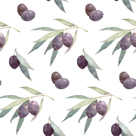 Watercolor olive branch hand drawn seamless pattern on white backgroundの写真素材