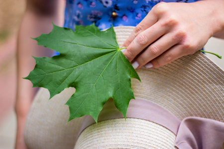 Young woman holding a green maple leaf in her hands. Close upの写真素材