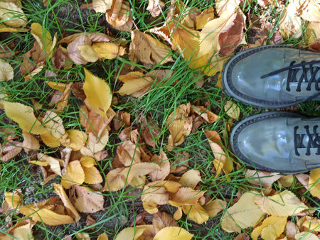 Shoes and autumn leaves on the grass. Selective focus.の写真素材