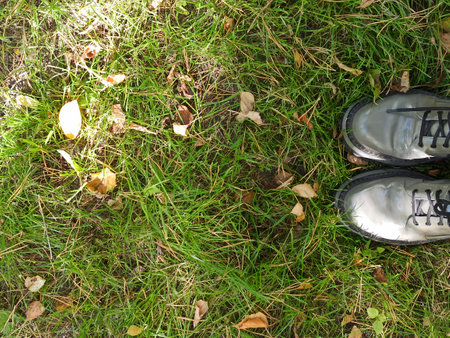 Pair of shoes on the green grass in the autumn park.の写真素材