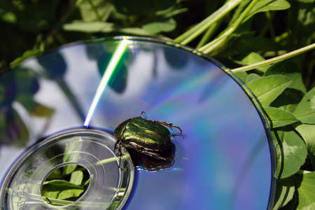 A macro shot of a bug on a lazer discの写真素材
