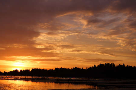 Decline above peat bogs. The end of summer. Last warm days.の写真素材