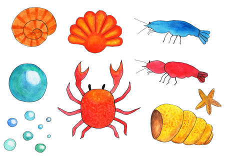 Set marine aquarium, shrimp, shells, crabs, bubblesの写真素材