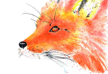 Lovely forest resident red fox. Watercolor illustrationの写真素材