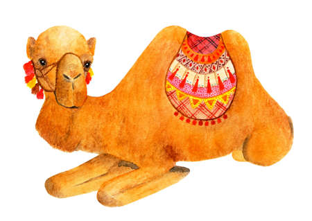 Lying camel decorated with bright accessories. Watercolor illustration. Lying camel looks into the camera. Drawing for printing, packaging made of watercolor paints.の写真素材