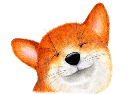Portrait of a smiling Fox. Watercolor illustration. Smiling Fox. Background for design, printing on paper, fabrics. Illustration for advertising.の写真素材
