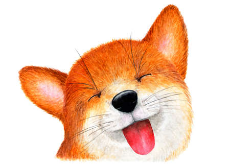 Fox is showing tongue. Watercolor illustration. The smiling Fox is stuck out her tongue. Fox enjoys life. Background for design, printing on paper, fabrics. Illustration for advertising.の写真素材