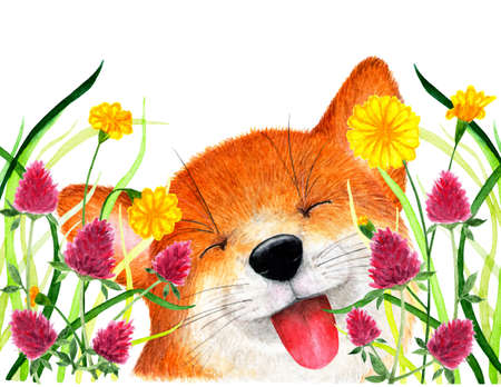 Fox sits in the grass. Watercolor illustration. The Fox hid in the grass, the red clover. Background for design, printing on paper, fabrics. Illustration for advertising.の写真素材