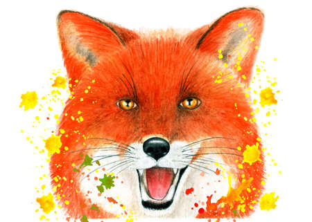 Portrait of a Fox in a spray of paint. Watercolor illustration. Portrait of a watercolor paints. Illustration for printing on t-shirts, fabrics, magazines about animals.の写真素材