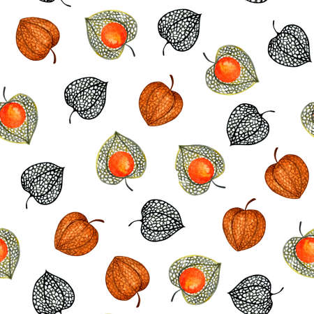 Seamless pattern with physalis. Watercolor illustration. Autumn illustration for printing. Botanical background.の写真素材