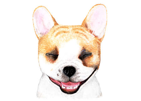 French bulldog. Watercolor illustration. Portrait of a smiling French bulldog. Dog enjoys life. Illustration for printing on t-shirts, animal feed, etc.の写真素材