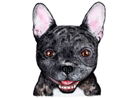 French bulldog. Illustration painted in watercolor. Portrait of a black french bulldog. Funny illustration. Illustration for printing on children's jackets, t-shirts.の写真素材