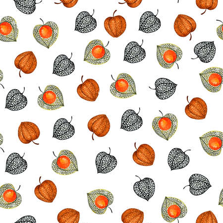 Pattern with physalis. Watercolor illustration. Autumn illustration for printing. Botanical background.の写真素材