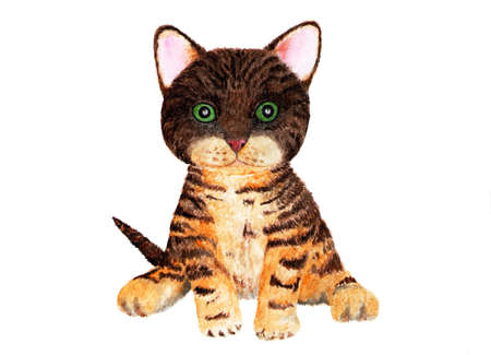 Portrait of a kitten. Bengal cat. Watercolor illustration. A small kitten with tiger coloring wool. Illustration for design, decor.の写真素材