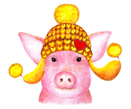 Portrait of pig. Watercolor illustration. Pig smiles at the camera. A pig in a winter hat enjoys life. Illustration for design, decor.の写真素材