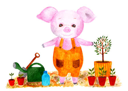 Cute pig. Watercolor illustration. Pig is preparing in planting seedlings, planting the garden. Monthly calendar with piglet. Illustration - May.の写真素材