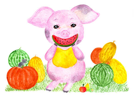 Cute pig. Watercolor illustration. Happy pig with a harvest of watermelons, melons, pumpkins. Monthly calendar with piglet. Illustration - August.の写真素材