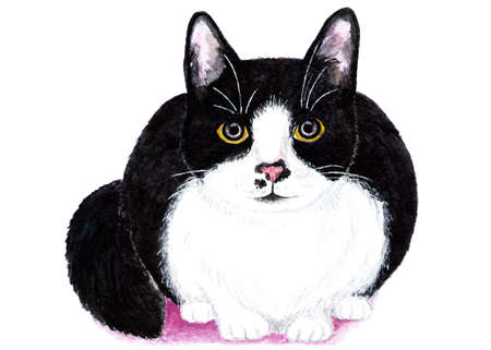 Black and white cat. Watercolor illustration. The cat is hiding and preparing to attack. Illustration for design, decor.の写真素材