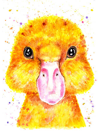Duckling Watercolor illustration. Portrait of a duck. Baby, baby illustration. Illustration for design, decor.の写真素材