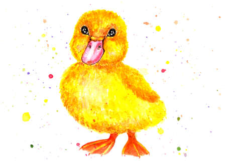 Little duckling. Watercolor illustration. Yellow duckling. Children illustration. Illustration for design, decor.の写真素材