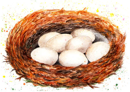 Nest with eggs. Watercolor illustration. A bird's nest in which there are seven eggs. Illustration for design, decor.の写真素材