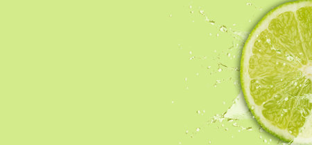A slice of juicy lime on a light green background. Food concept. Flat top view. Background for inserting text.の写真素材