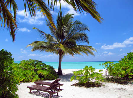 Maldivesの写真素材