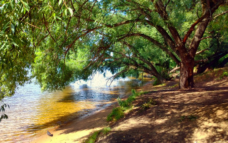 Beachの写真素材