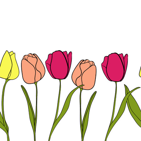 Tulip flower border background vectorのイラスト素材