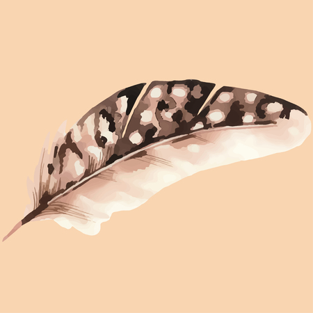 feather in watercolor styleのイラスト素材
