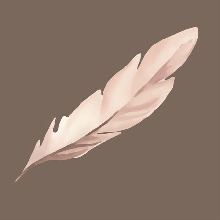 feather in watercolor styleのイラスト素材